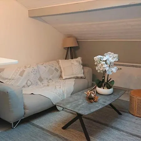 Majorbnbcozy Apartment Near Geneva C *