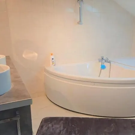 Majorbnbcozy Apartment Near Geneva C